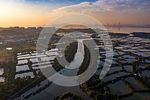 Aerial View of rural green fields in Hong Kong border and skylines in Shenzhen