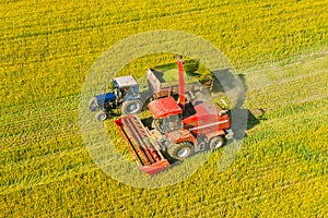 Aerial View Of Rural Landscape. Combine Harvester And Tractor Working Together In Field. Harvesting Of Oilseed In Spring