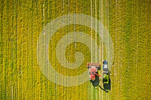 Aerial View Of Rural Landscape. Combine Harvester And Tractor Working Together In Field. Harvesting Of Oilseed In Spring