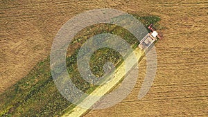 Aerial view of rural landscape. Combine harvester working in field, collects seeds. Harvesting of wheat in late summer