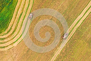 Aerial View Of Rural Landscape. Two Combines Harvesters Working In Field, Collects Seeds. Harvesting Of Wheat In Late