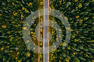 Aerial view of rural road and colorful autumn forest in Finland