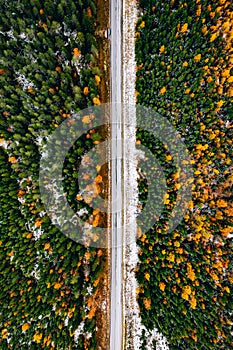 Aerial view of rural road with first snow in yellow and orange autumn forest