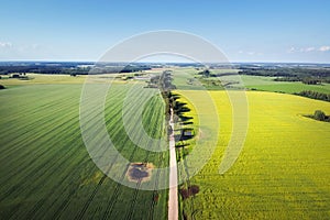 Aerial view of rural road, landscape, countryside. Blooming rapeseed field, canola flowers