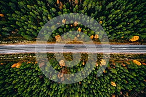 Aerial view of rural road with red car in yellow and orange autumn forest