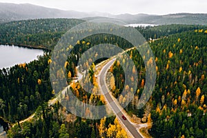 Aerial view of rural road with red car in yellow and orange autumn forest with blue lake