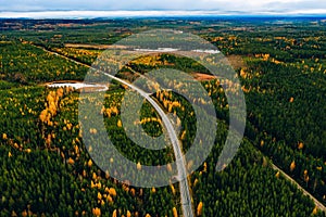 Aerial view of rural road in yellow and orange autumn forest