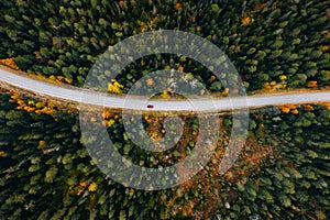 Aerial view of rural road in yellow and orange autumn forest in rural Finland