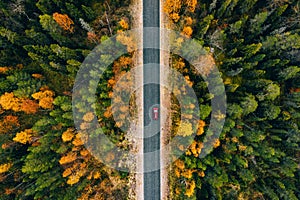 Aerial view of rural road in yellow and orange autumn forest in rural Finland