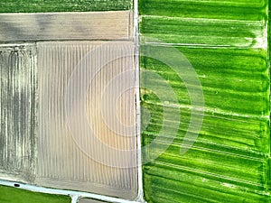 Aerial view of rural roads passing by green fields.