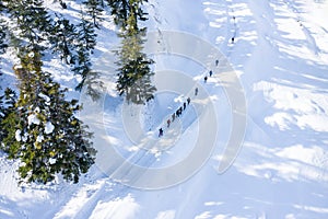 An aerial view s group of people trekking in the forest and mountains with covered snow.