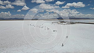 aerial view of Salinas Grandes, Jujuy, Argentina - mar 2th 2024