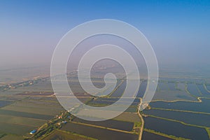 Aerial view of saline plantation field in morning