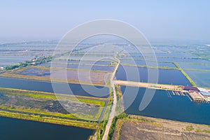 Aerial view of saline plantation field in morning