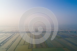 Aerial view of saline plantation field in morning