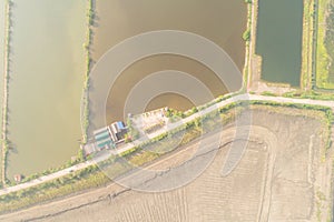 Aerial view of saline plantation field in morning