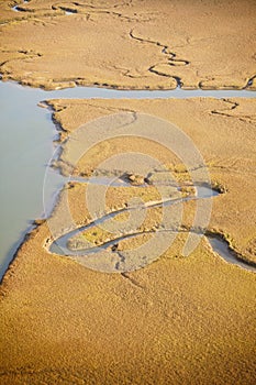 Aerial view of salt marsh