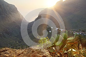 Aerial view with sanset rays of the famous mountain village Maska in Tenerife.