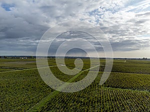 Aerial view on Sauternes village and vineyards, making of sweet dessert Sauternes wines from Semillon grapes affected by Botrytis