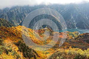 Aerial view of a scenic cable car flying over the autumn valley in the Tateyama Kurobe Alpine Route, Japan