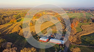 Aerial view scenic fall season in countryside of Rochester, Upstate New York, rolling corn field to horizonal line, traditional