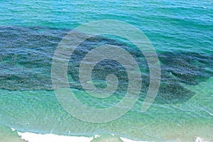 Aerial view of a school of bait fish