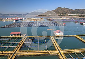 Aerial View of the sea fish farm cages and fishing village in XiaPu, FuJian province, China.