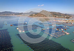 Aerial View of the sea fish farm cages and fishing village in XiaPu, FuJian province, China.