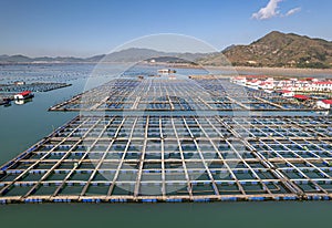 Aerial View of the sea fish farm cages and fishing village in XiaPu, FuJian province, China.