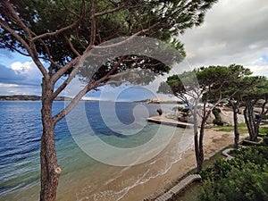 Aerial view of sea waves breaking sandy beach with trees