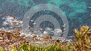 Aerial view of seagulls flying above the sea next to the cliff,