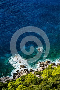Aerial view of seashore with blue sea and fresh green vegetation