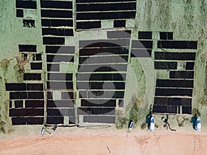 Aerial view of seaweed farm in Nusa Lembongan