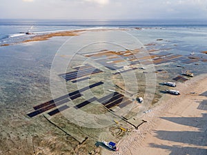 Aerial view of seaweed farm in Nusa Lembongan