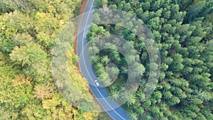 Aerial view of self-driving car driving on country road through forest.