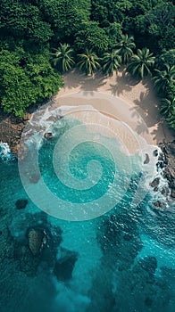 Aerial view of a serene tropical beach with lush foliage.