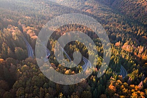 Aerial view of a serpent road at Cheia, Romania