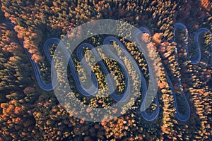 Aerial view of a serpent road at Cheia, Romania