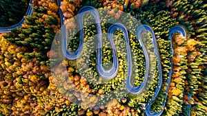 Aerial view of serpentines, curvy road in beautiful autumn forest at sunset. Top view of roadway with autumn colors. Europe roads