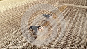 Aerial view of several harvesters on a field of sunflowers. Harvesting sunflower seeds for sunflower oil production