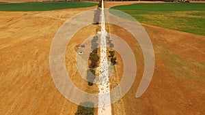 Aerial view of sheep on outback road.