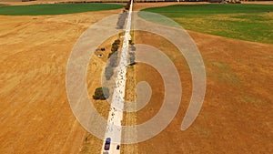 Aerial view of sheep on outback road.