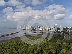 Aerial view showing a highway and forest of Mangoves in Panama City