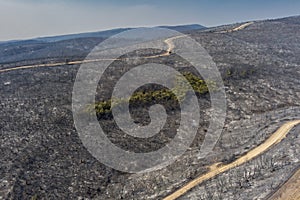 Aerial view shows a burnt area after a fire in Evros prefecture in northern Greece