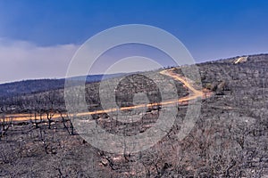 Aerial view shows a burnt area after a fire in Evros prefecture in northern Greece