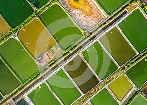 Aerial view of shrimp breeding farms in Giao Thuy, Namdinh, Vietnam