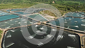 Aerial view of shrimp farm with aerator pump oxygenation water in Koh Chang