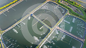 Aerial view of shrimp farm and air purifier in Thailand. Continuous growing aquaculture business is exported to the international