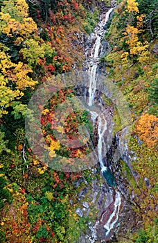 Aerial view of silky waterfalls & a stream flowing in a mysterious gorge of colorful autumn trees in Japanese Central Alps Nationa