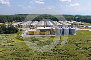 aerial view on silos and agro-industrial livestock complex on agro-processing and manufacturing plant with modern granary elevator